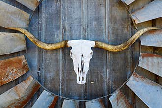 Texas barn art
