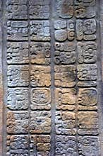 Mayan glyphs