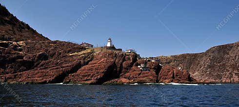 Rocky coastline in Avalon Peninsula, Newfoundland, Canada