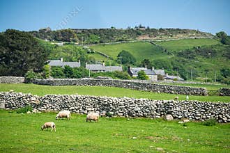 Welsh farmyard