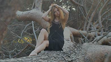 Girl sitting on a fallen pine tree in the evening