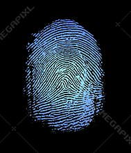 Fingerprint