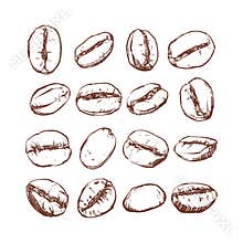 Coffee bean Isolated Hand drawn vector, sketch of coffee beans