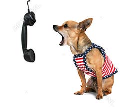 Barking dog