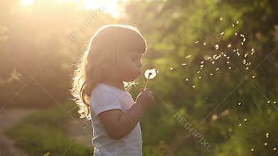 Cute little girl is blowing on dandelion