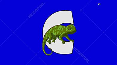 Letter C and Chameleon (foreground)