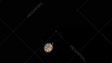 Holiday Festival Celebration Fireworks