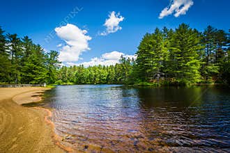 Beach on a lake at Bear Brook State Park, New Hampshire.
