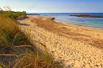 Summer seascape: Nature Reserve of Torre Guaceto.BRINDISI (Apulia)-ITALY-