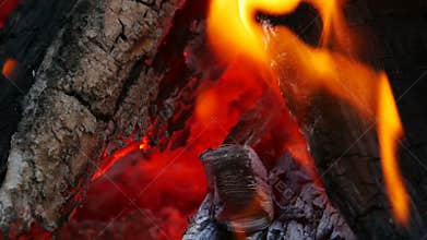 Hot Coal Campfire