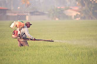 Men at work