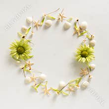 Circle frame background from summer elements - seashell, starfishes, flowers