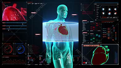 Zooming rotating body and scanning heart. Human cardiovascular system, Blue X-ray light. on digital display user interface panel.