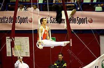 Milan Gymnastic Grand Prix 2008