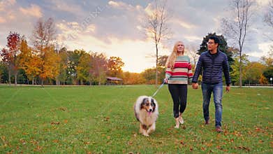 Young carefree couple walking with a dog in the park. Steadicam shot