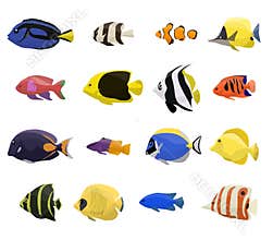 Coral reef fish set