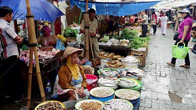 Fish in the buckets on the food market in Jakarta, Indonesia.