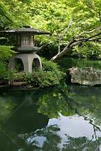 Japanese garden and pond