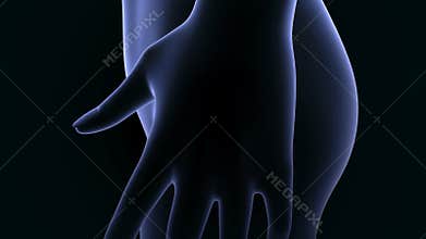 Uterus