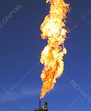 Gas Flare