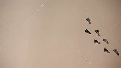 Small black footsteps on brown background