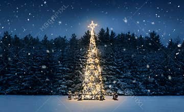 Christmas tree at night