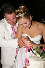 Wedding Couple cutting the cake