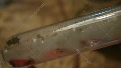 Liquid filtration in a glass tube, the gas comes out