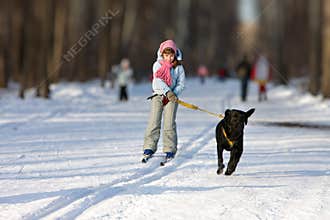 Girl on ski is going for a dog.