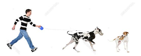 Man walking his dog (Great dane 4 years)