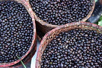 Acai