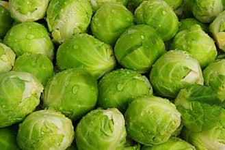 Brussels sprout