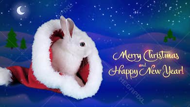 Merry Christmas and Happy New Years greeting card with text