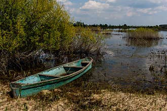 An old boat on the swampy bank of the former river