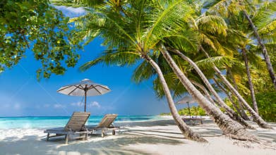 Beach background. Beautiful beach landscape. Tropical nature scene. Palm trees and blue sky. Summer holiday and vacation concept.