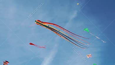 Kite with colorful stripes in form of octopus in flight. Blue sky and sunny day