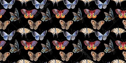 Watercolor butterfly tender insect, intresting moth, isolated wing illustration