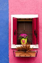Window, shutters and flowers