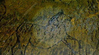 Discovery of prehistoric paint of horse in sandstone cave. Spotlight shines on historical human painting