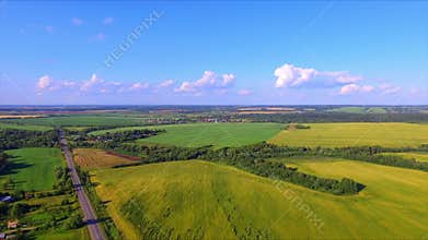 Drone flight over the ripe rye ears field