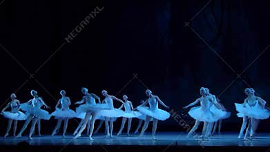 Classical ballet Swan Lake