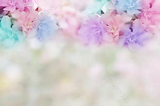 Sweet colorful flowers in pastel tone for valentine or wedding card