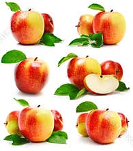 Set red apple fruits with cut and green leaves