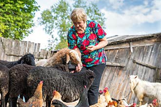 Woman at her sheep farm, animals and nature