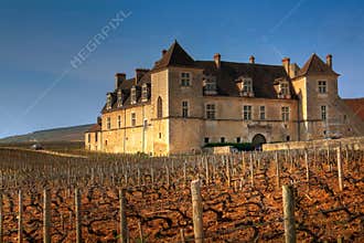 Clos de Vougeot, Burgundy, France