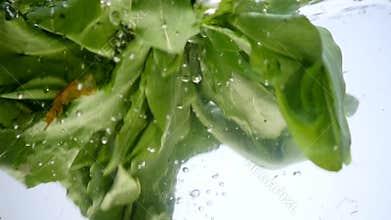 Green spinach leaf with water drops and splash isolated on white
