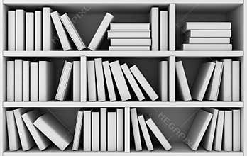 Bookshelf and many books