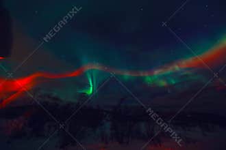 Amazing multicolored Aurora Borealis also know as Northern Lights in the night sky over Lofoten landscape, Norway, Scandinavia.