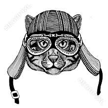 Wild cat Fishing catHand drawn image of animal wearing motorcycle helmet for t-shirt, tattoo, emblem, badge, logo, patch