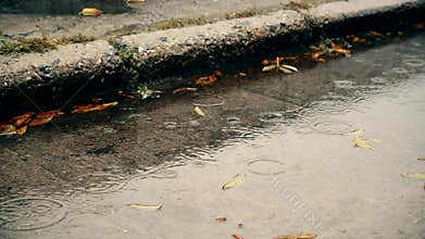 Rain in autumn. Raindrops fall on a concrete pavement with water and fallen yellow and green leaves